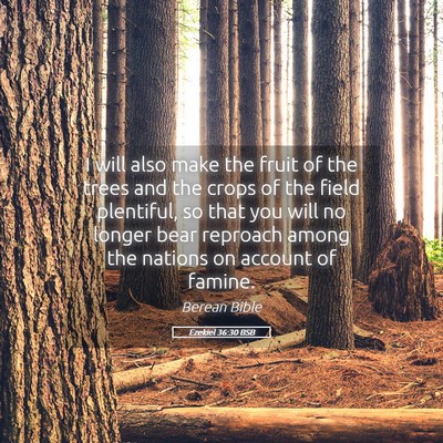 Picture 05 - Ezekiel 36:30 BSB - I will also make the fruit of the trees and the - Bible Verse Picture