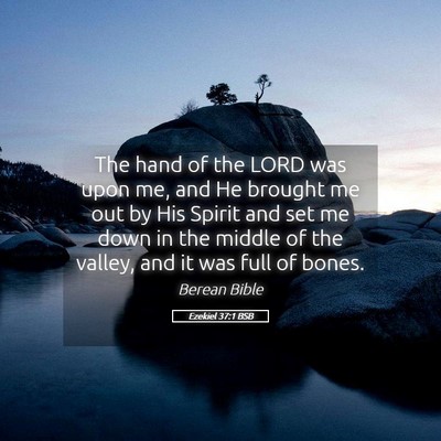 Picture 05 - Ezekiel 37:1 BSB - The hand of the LORD was upon me, and He brought - Bible Verse Picture