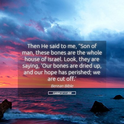 Picture 05 - Ezekiel 37:11 BSB - Then He said to me, “Son of man, these bones - Bible Verse Picture
