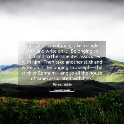 Picture 05 - Ezekiel 37:16 BSB - “And you, son of man, take a single stick and - Bible Verse Picture