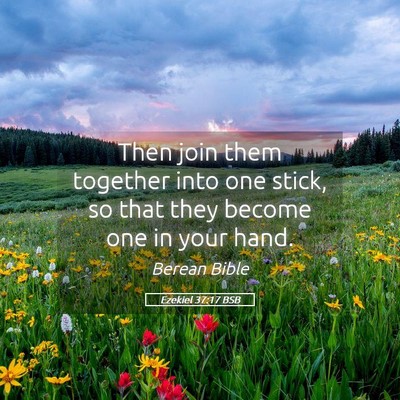 Picture 05 - Ezekiel 37:17 BSB - Then join them together into one stick, so that - Bible Verse Picture