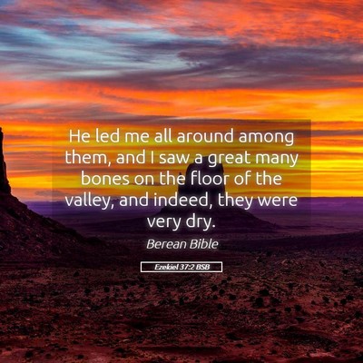 Picture 05 - Ezekiel 37:2 BSB - He led me all around among them, and I saw a - Bible Verse Picture