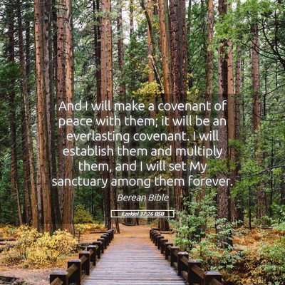 Picture 05 - Ezekiel 37:26 BSB - And I will make a covenant of peace with them; it - Bible Verse Picture