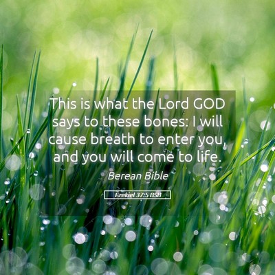 Picture 05 - Ezekiel 37:5 BSB - This is what the Lord GOD says to these bones: I - Bible Verse Picture