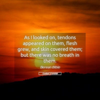 Picture 05 - Ezekiel 37:8 BSB - As I looked on, tendons appeared on them, flesh - Bible Verse Picture