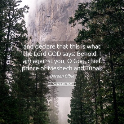Picture 05 - Ezekiel 38:3 BSB - and declare that this is what the Lord GOD says: - Bible Verse Picture
