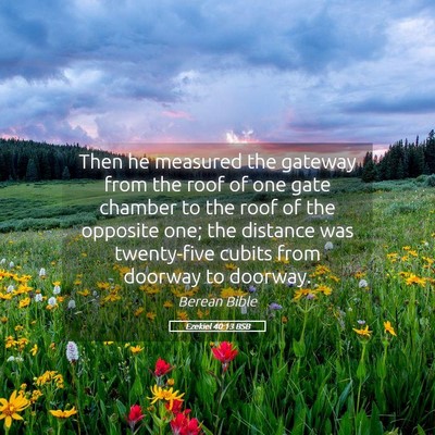 Picture 05 - Ezekiel 40:13 BSB - Then he measured the gateway from the roof of one - Bible Verse Picture