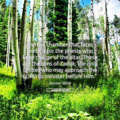 Picture 05 - Ezekiel 40:46 BSB - and the chamber that faces north is for the - Bible Verse Picture
