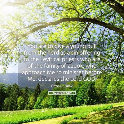 Picture 05 - Ezekiel 43:19 BSB - You are to give a young bull from the herd as a - Bible Verse Picture