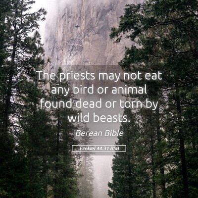 Picture 05 - Ezekiel 44:31 BSB - The priests may not eat any bird or animal found - Bible Verse Picture