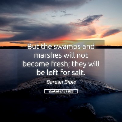 Picture 05 - Ezekiel 47:11 BSB - But the swamps and marshes will not become fresh; - Bible Verse Picture