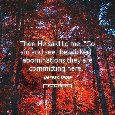 Picture 05 - Ezekiel 8:9 BSB - Then He said to me, “Go in and see the wicked - Bible Verse Picture