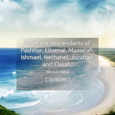 Picture 05 - Ezra 10:22 BSB - From the descendants of Pashhur: Elioenai, - Bible Verse Picture