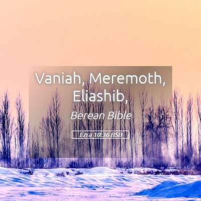 Picture 05 - Ezra 10:36 BSB - Vaniah, Meremoth, - Bible Verse Picture