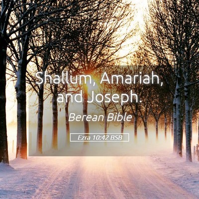 Picture 05 - Ezra 10:42 BSB - Shallum, Amariah, and - Bible Verse Picture
