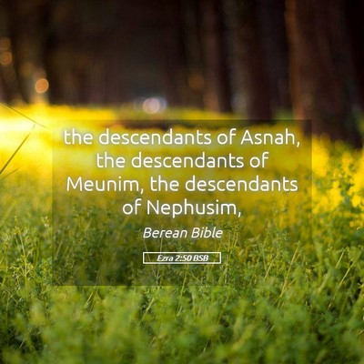 Picture 05 - Ezra 2:50 BSB - the descendants of Asnah, the descendants of - Bible Verse Picture