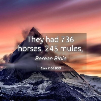 Picture 05 - Ezra 2:66 BSB - They had 736 horses, 245 - Bible Verse Picture