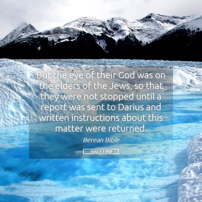 Picture 05 - Ezra 5:5 BSB - But the eye of their God was on the elders of the - Bible Verse Picture