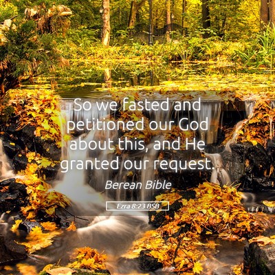 Picture 05 - Ezra 8:23 BSB - So we fasted and petitioned our God about this, - Bible Verse Picture