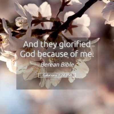 Picture 05 - Galatians 1:24 BSB - And they glorified God because of - Bible Verse Picture