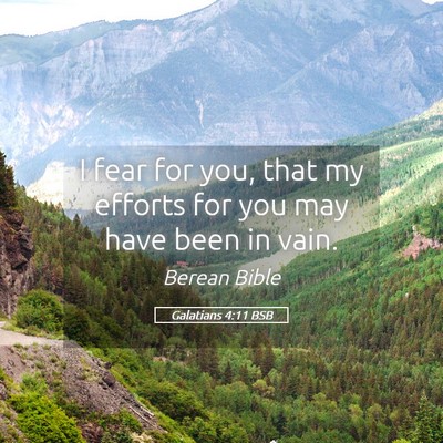 Picture 05 - Galatians 4:11 BSB - I fear for you, that my efforts for you may have - Bible Verse Picture