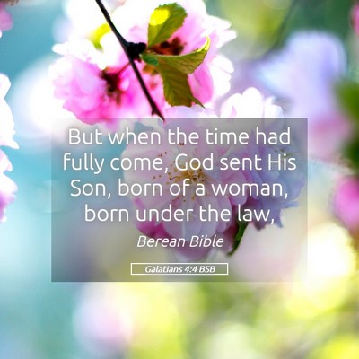 Picture 05 - Galatians 4:4 BSB - But when the time had fully come, God sent His - Bible Verse Picture