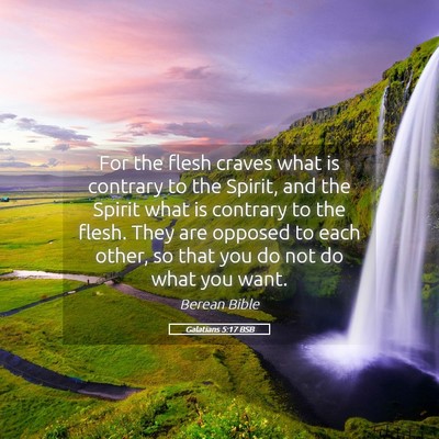 Picture 05 - Galatians 5:17 BSB - For the flesh craves what is contrary to the - Bible Verse Picture
