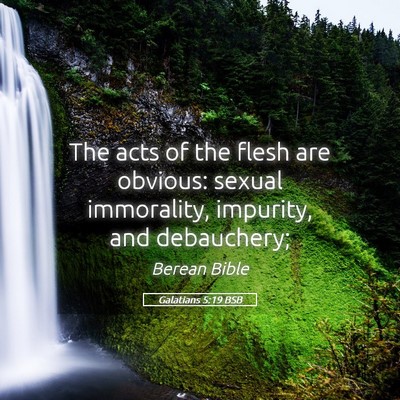 Picture 05 - Galatians 5:19 BSB - The acts of the flesh are obvious: sexual - Bible Verse Picture