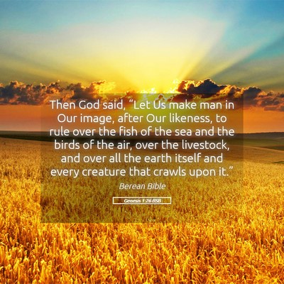 Picture 05 - Genesis 1:26 BSB - Then God said, “Let Us make man in Our image, - Bible Verse Picture