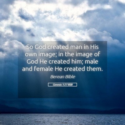 Picture 05 - Genesis 1:27 BSB - So God created man in His own image; in the image - Bible Verse Picture