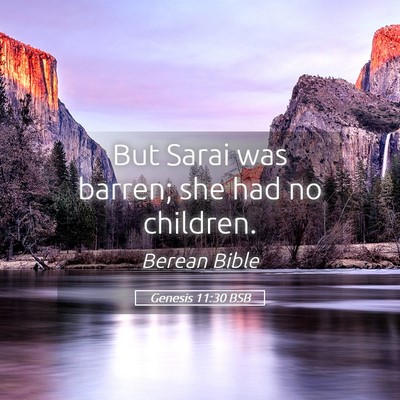 Picture 05 - Genesis 11:30 BSB - But Sarai was barren; she had no - Bible Verse Picture