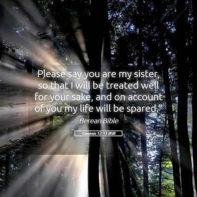 Picture 05 - Genesis 12:13 BSB - Please say you are my sister, so that I will be - Bible Verse Picture
