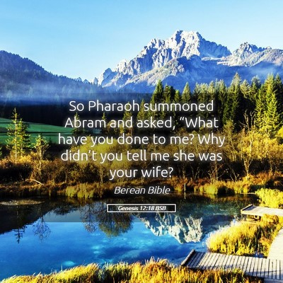 Picture 05 - Genesis 12:18 BSB - So Pharaoh summoned Abram and asked, “What have - Bible Verse Picture