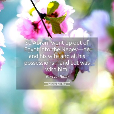 Picture 05 - Genesis 13:1 BSB - So Abram went up out of Egypt into the Negev—he - Bible Verse Picture