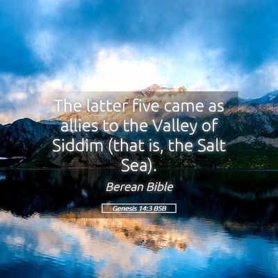 Picture 05 - Genesis 14:3 BSB - The latter five came as allies to the Valley of - Bible Verse Picture