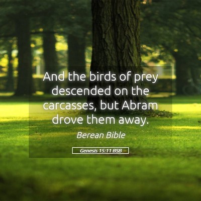 Picture 05 - Genesis 15:11 BSB - And the birds of prey descended on the carcasses, - Bible Verse Picture