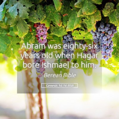 Picture 05 - Genesis 16:16 BSB - Abram was eighty-six years old when Hagar bore - Bible Verse Picture
