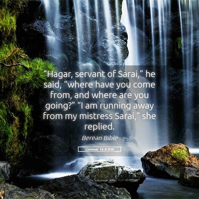 Picture 05 - Genesis 16:8 BSB - “Hagar, servant of Sarai,” he said, “where - Bible Verse Picture
