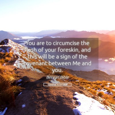 Picture 05 - Genesis 17:11 BSB - You are to circumcise the flesh of your foreskin, - Bible Verse Picture