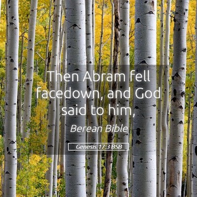 Picture 05 - Genesis 17:3 BSB - Then Abram fell facedown, and God said to - Bible Verse Picture