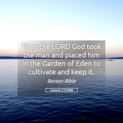 Picture 05 - Genesis 2:15 BSB - Then the LORD God took the man and placed him in - Bible Verse Picture