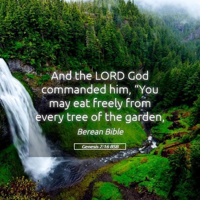 Picture 05 - Genesis 2:16 BSB - And the LORD God commanded him, “You may eat - Bible Verse Picture