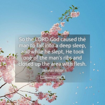 Picture 05 - Genesis 2:21 BSB - So the LORD God caused the man to fall into a - Bible Verse Picture