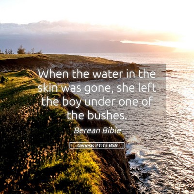Picture 05 - Genesis 21:15 BSB - When the water in the skin was gone, she left the - Bible Verse Picture