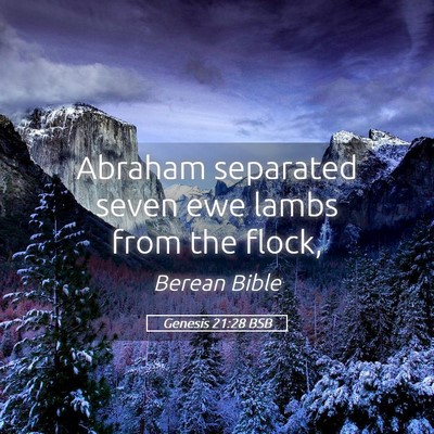 Picture 05 - Genesis 21:28 BSB - Abraham separated seven ewe lambs from the - Bible Verse Picture