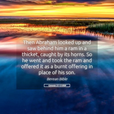 Picture 05 - Genesis 22:13 BSB - Then Abraham looked up and saw behind him a ram - Bible Verse Picture