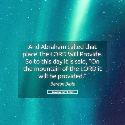 Picture 05 - Genesis 22:14 BSB - And Abraham called that place The LORD Will - Bible Verse Picture