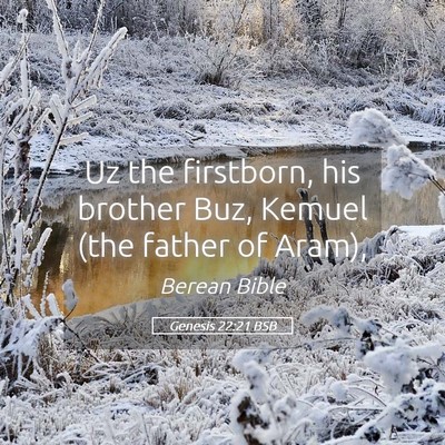 Picture 05 - Genesis 22:21 BSB - Uz the firstborn, his brother Buz, Kemuel (the - Bible Verse Picture