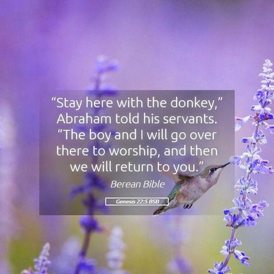 Picture 05 - Genesis 22:5 BSB - “Stay here with the donkey,” Abraham told his - Bible Verse Picture