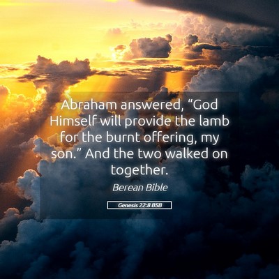 Picture 05 - Genesis 22:8 BSB - Abraham answered, “God Himself will provide the - Bible Verse Picture